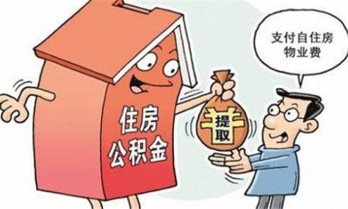 2025不查征信好下的口子，专业概括五个无视征信的网贷口子