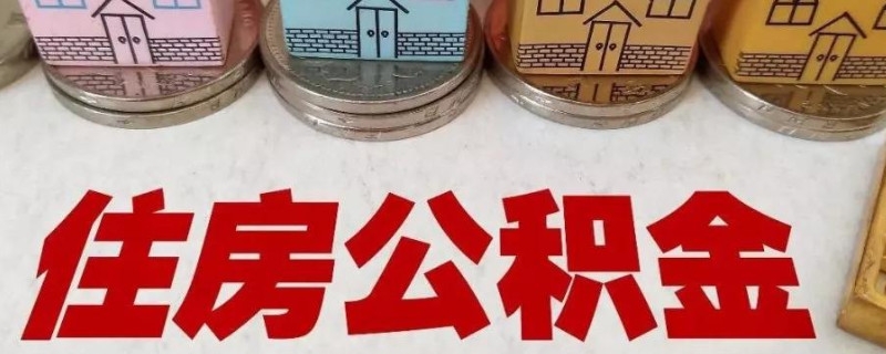 2025网贷不查征信保下款的，专业解读五个网贷多,征信花,拒一切
