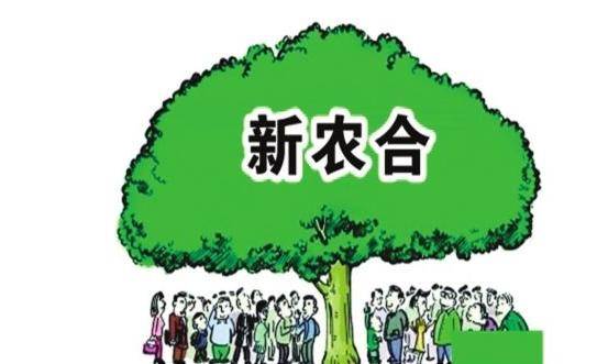 2025更新后的小额贷款app口子，今年可以尝试这五个小额7天借款app